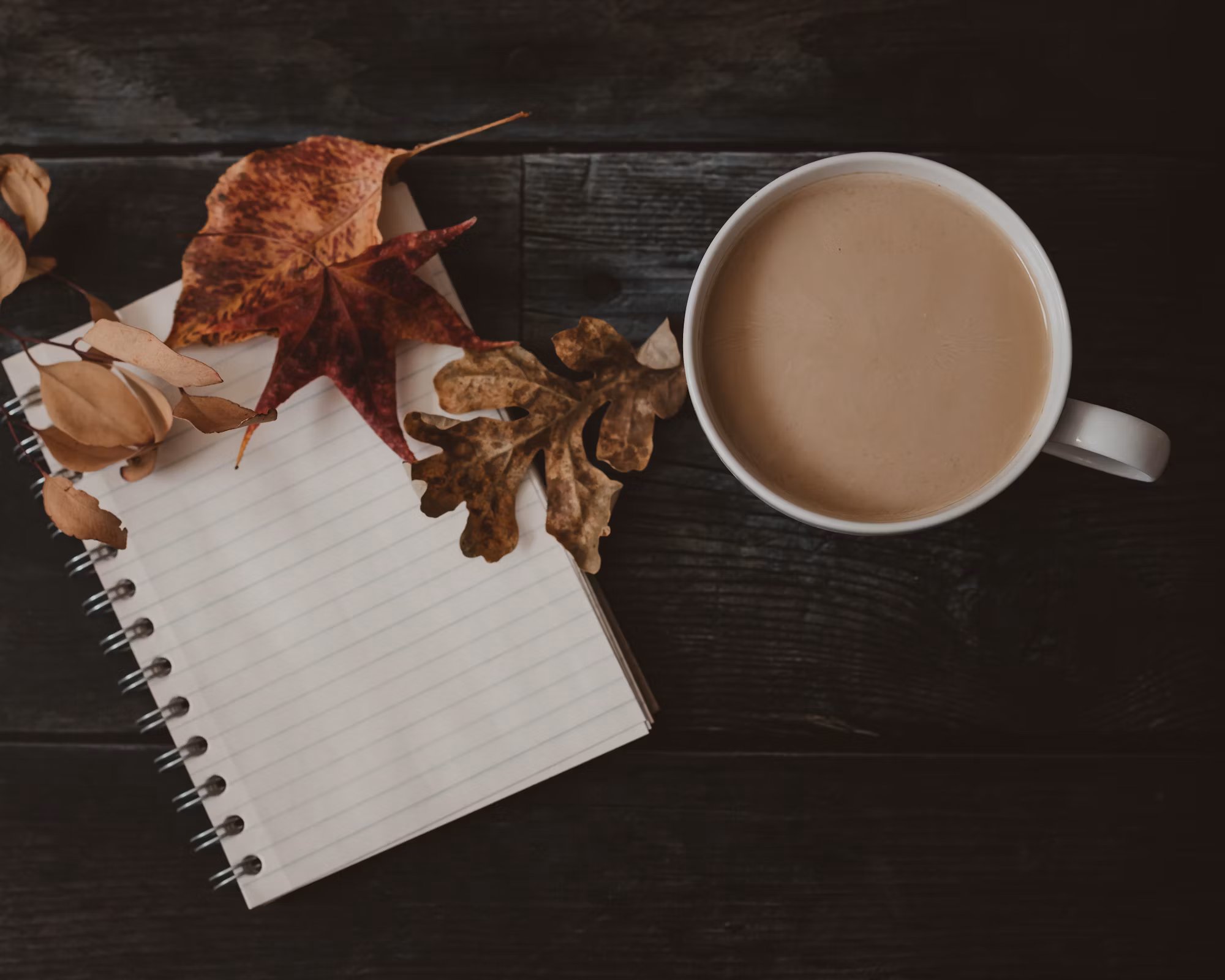 Embracing Technology in Education: A Path to Modern Learning